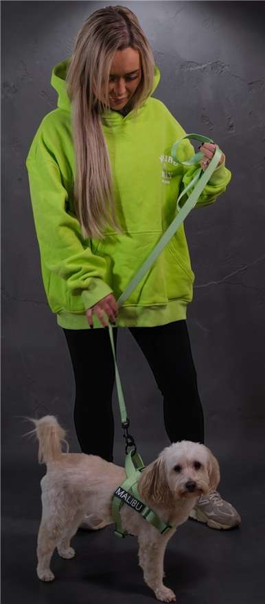 Midori Splice premium dog lead 2