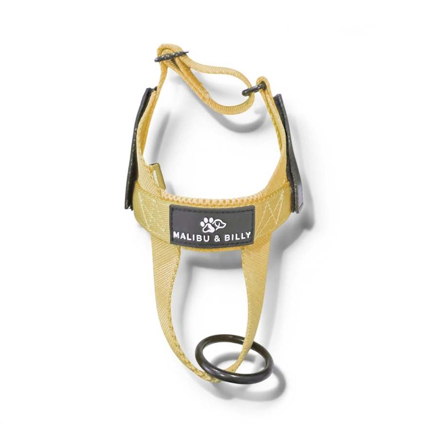 Lemon Drop personalised harness 3
