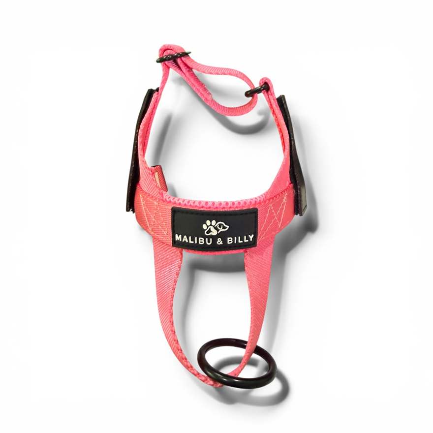 Hot Mess Pink personalised harness 3