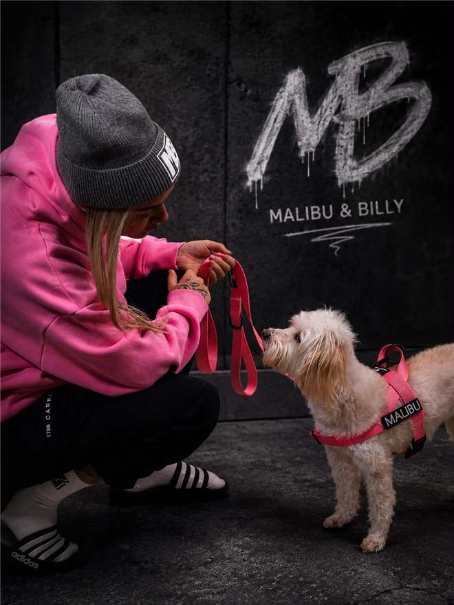 Hot Mess Pink personalised harness 4