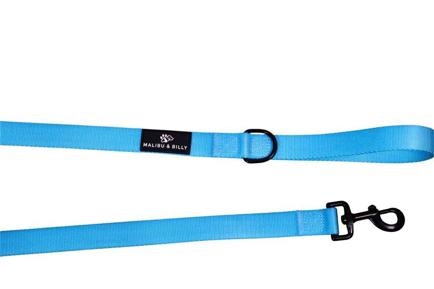 Blue Lagoon premium dog lead 6