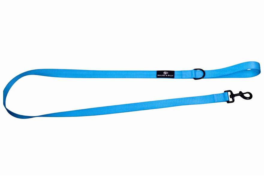 Blue Lagoon premium dog lead 3