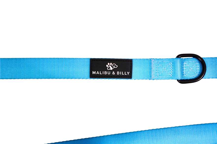 Blue Lagoon premium dog lead 4