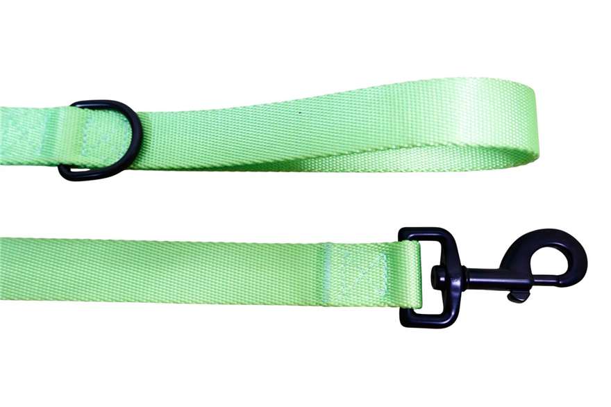 Midori Splice premium dog lead 4
