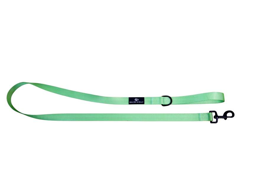 Midori Splice premium dog lead 3