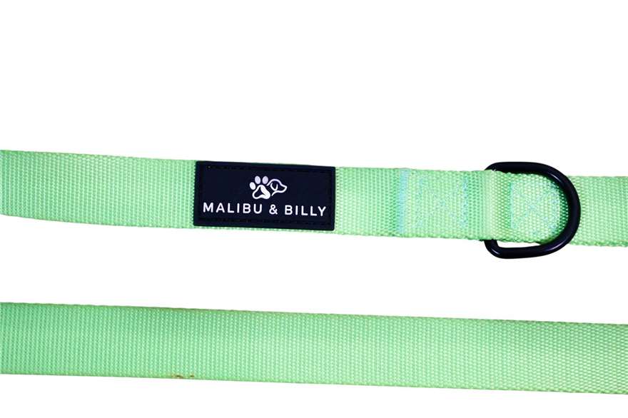 Midori Splice premium dog lead 7