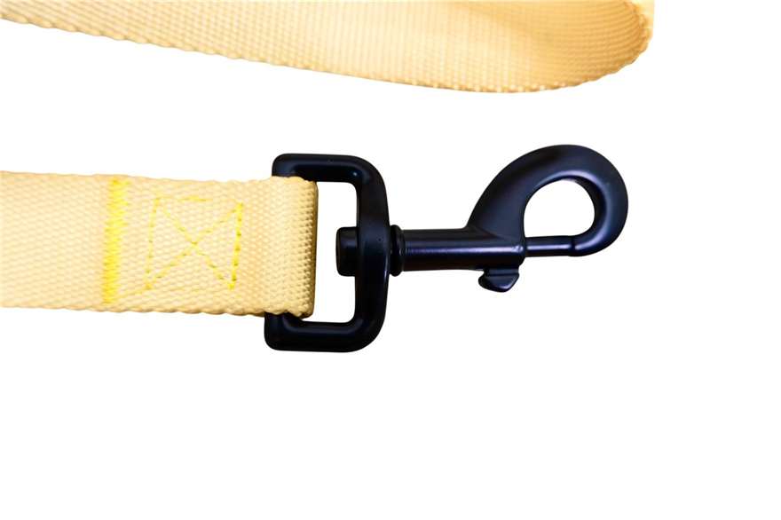 Lemon Drop premium dog lead 7