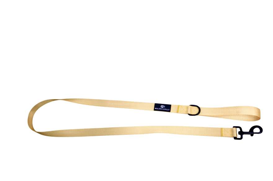 Lemon Drop premium dog lead 3