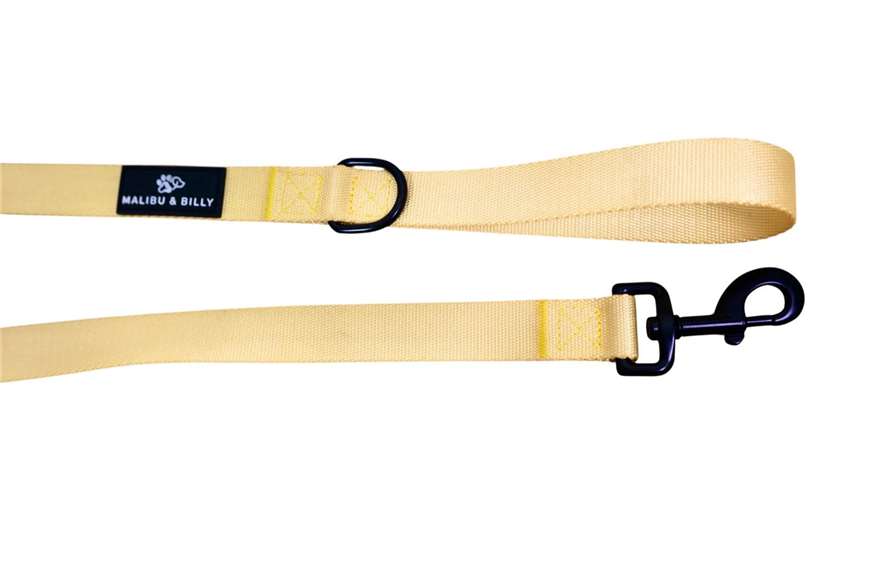 Lemon Drop premium dog lead 8