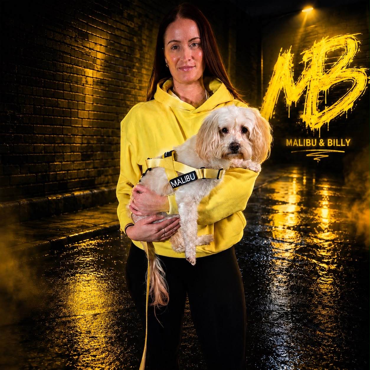 The Lemon Drop matchy set in the alley, hoodie, harness and lead