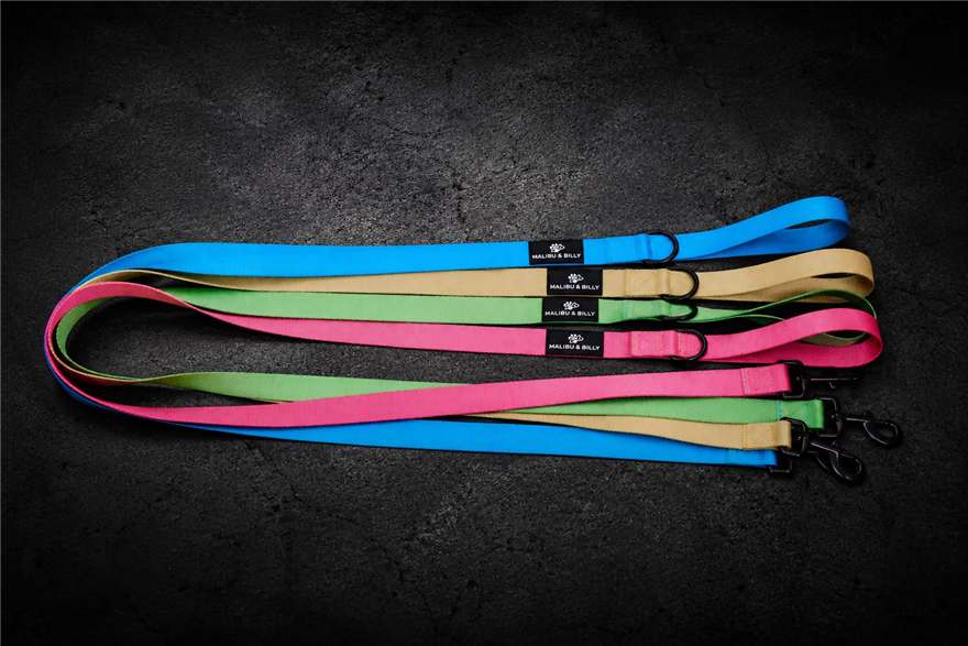 Premium Dog Lead